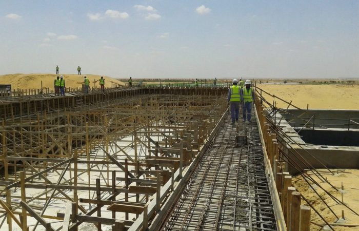 The_workers_in_2k_202602131343