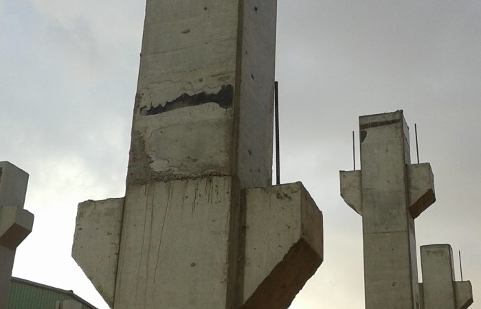 ٢٠١٥١٢٢٤_١٥١٩٢٢